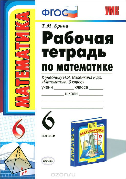 Математика 6 класс Ерина